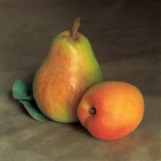 Still Life with Pear and Apricot | Amy Lamb Studio, LLC