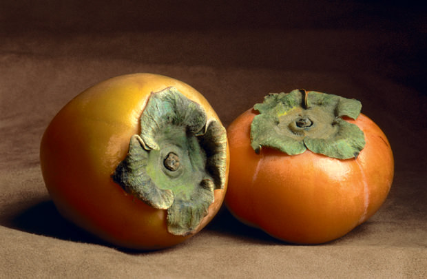 Fruits and Seedpods, Two-Persimmons