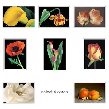 FOUR NOTECARD GIFT PACK