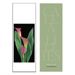 Calla Lilies