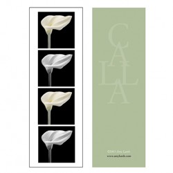 Calla I